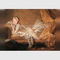 Παραδοσιακή Nude φωτογραφία Montage Strokers βουρτσών πορτρέτου γυναικών/πορτρέτου τέχνης καμβά