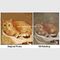 Η ελαιογραφία πορτρέτου γατών ζωγραφισμένη στο χέρι με τη σύσταση μετατρέπει τη φωτογραφία σας σε ζωγραφική